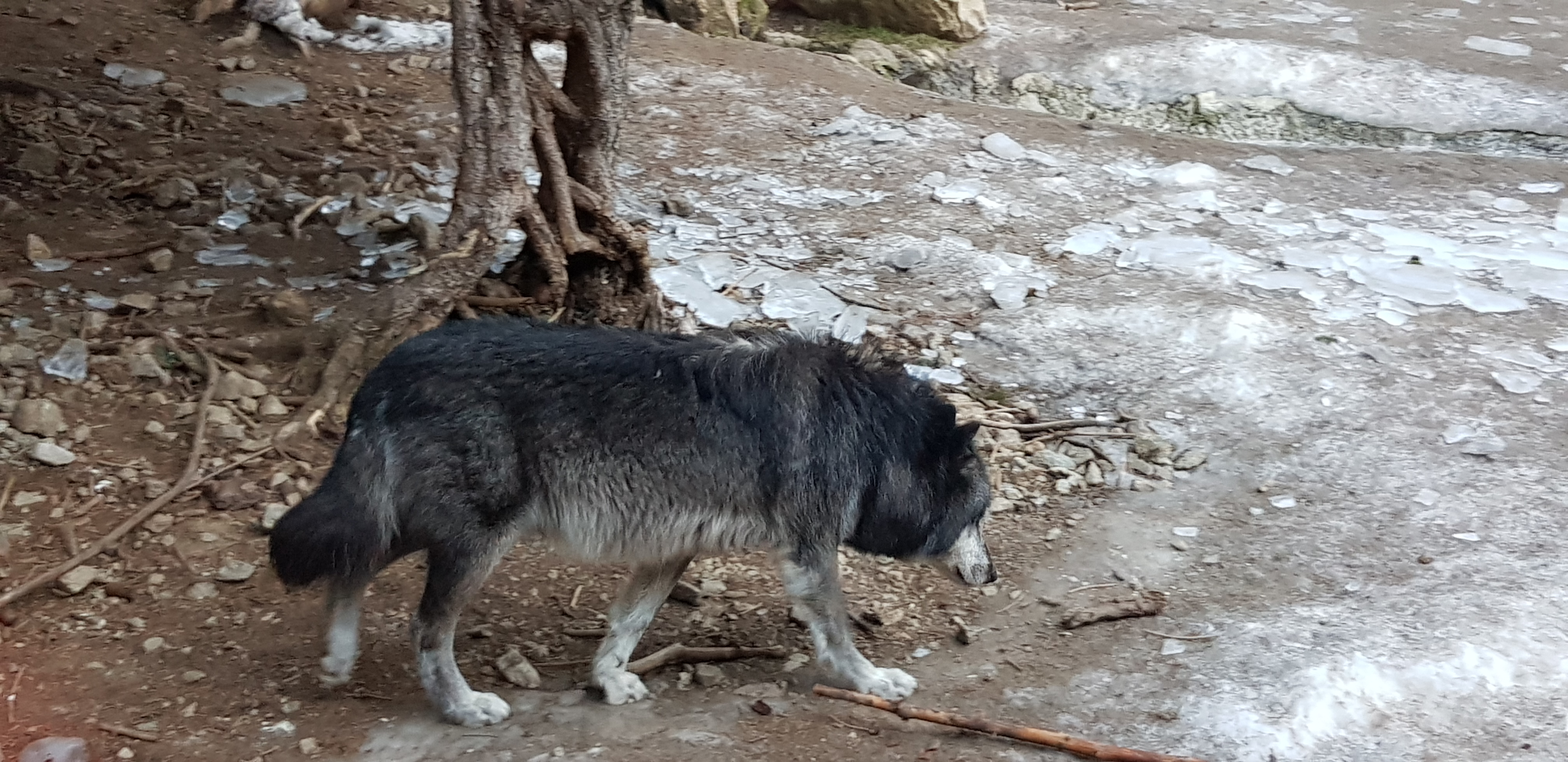 Photo n° 1 de l'avis de Greg.6 fait le 29/01/2020 à 10:11