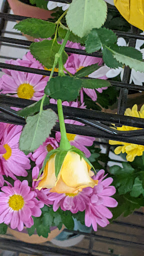 Grocery Store «Meijer», reviews and photos, 9515 Birch Run Rd, Birch Run, MI 48415, USA