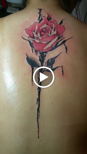 Auto Parts Store «AutoZone», reviews and photos, 240 W Anaheim St, Long Beach, CA 90813, USA