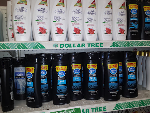 Dollar Store «Dollar Tree», reviews and photos, 3600 NJ-35, Hazlet, NJ 07730, USA