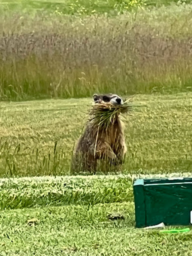 Golf Club «Links Golf Club», reviews and photos, 10623 Chase Rd, Post Falls, ID 83854, USA