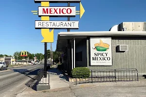 Spicy Mexico image
