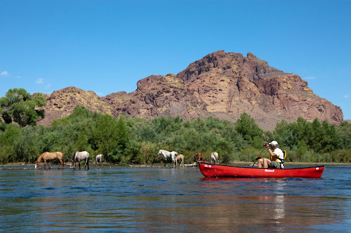 AZ Kayaks