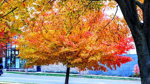 Shopping Mall «Arbor Hills», reviews and photos, 3010 Washtenaw Ave, Ann Arbor, MI 48104, USA