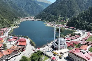 Uzungol Lake image