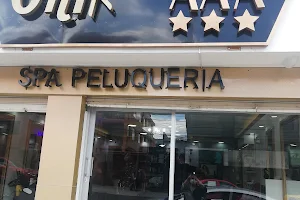 Ónix AAA Spa-Peluqueria image