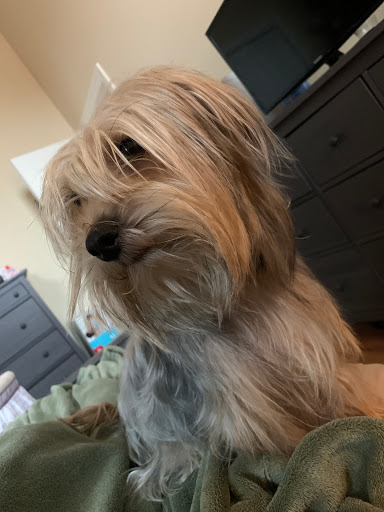 Pet Store «Pet Express», reviews and photos, 250 Granite St, Braintree, MA 02184, USA