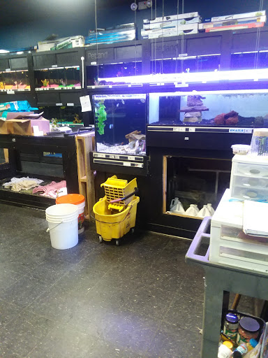 Pet Store «Petland», reviews and photos, 2123 Old Hudson Rd, St Paul, MN 55119, USA