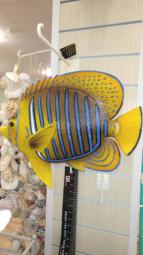 Department Store «HomeGoods», reviews and photos, 3525 28th St SE, Grand Rapids, MI 49512, USA