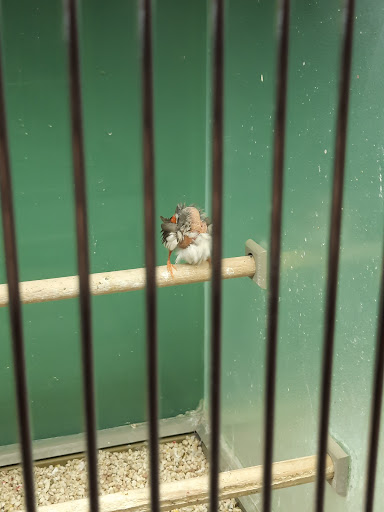 Pet Store «Lake City Pets and Supplies & Grooming», reviews and photos, 1101 US-90, Lake City, FL 32055, USA