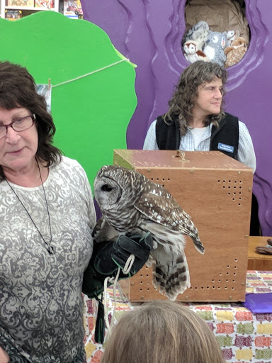 Gift Shop «The Hoot», reviews and photos, 86 Storrs Rd, Willimantic, CT 06226, USA