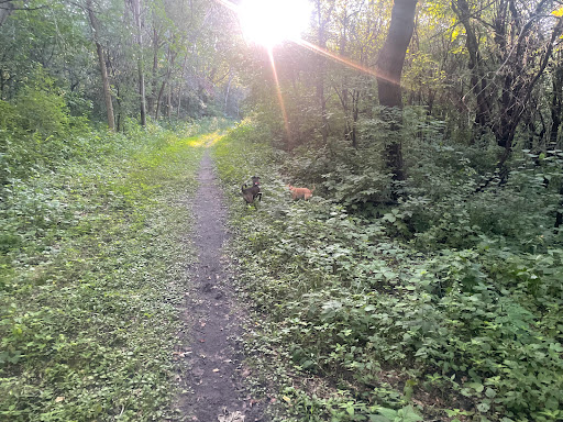 Event Venue «Green Acres Event Center», reviews and photos, 14150 Pioneer Trail, Eden Prairie, MN 55347, USA