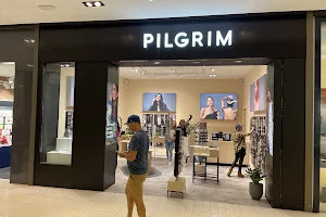 PILGRIM image