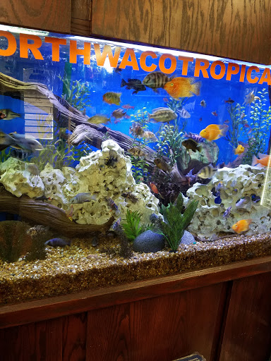 Aquarium Waco