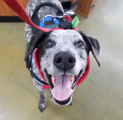 Pet Supply Store «Zamzows on Franklin Blvd», reviews and photos, 1201 Franklin Blvd, Nampa, ID 83687, USA