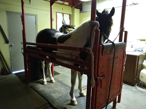 Ritzville Veterinary Clinic