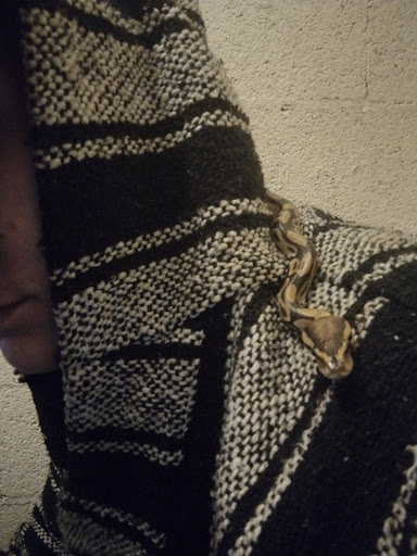 Aquarium «Tropical Treasures», reviews and photos, 3502 W Greenway Rd Suite 7, Phoenix, AZ 85053, USA