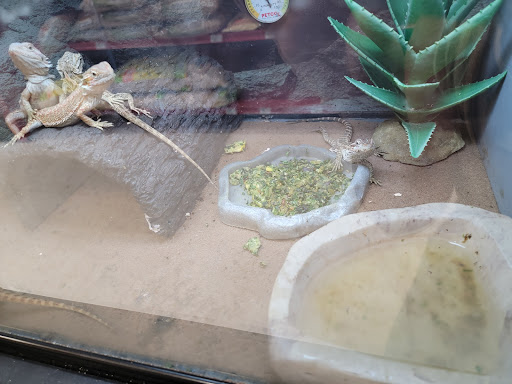 Pet Supply Store «Petco Animal Supplies», reviews and photos, 92 Cluff Crossing Rd, Salem, NH 03079, USA