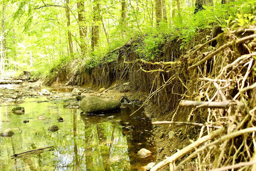 Nature Preserve «Seven Pillars Nature Preserve», reviews and photos, 3555 Mississinewa Rd, Peru, IN 46970, USA