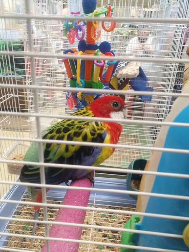 Pet Supply Store «Pet World», reviews and photos, 6527 Centralia Rd, Chesterfield, VA 23832, USA