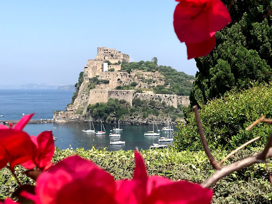 Photos des visiteurs Appartamento vacanze Ischia Paradise Corner 80077 Ischia