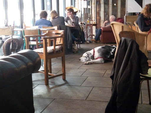 Dog friendly bars in Liverpool