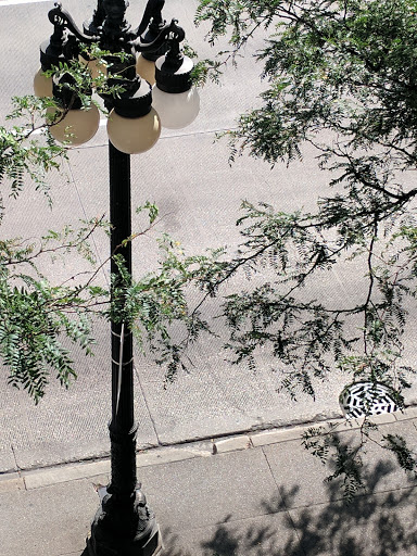 Cultural Center «Chicago Cultural Center», reviews and photos, 78 E Washington St, Chicago, IL 60602, USA