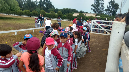 Escuela De Equitacion Santo Domingo