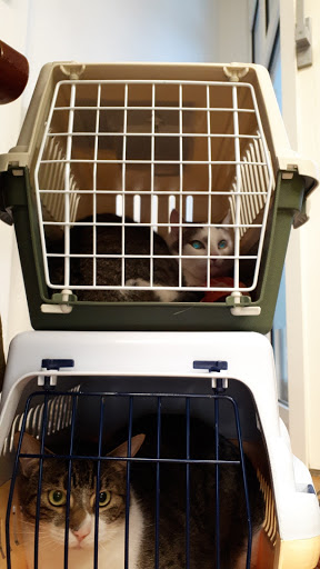 E. Pautsch & C. Schultenkämper GbR unter Hofgeismar, Hessen