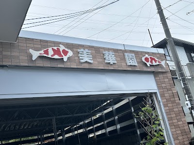 錦鯉センター 美華園