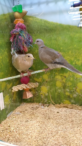 Pet Store «Market Street PET DEPOT», reviews and photos, 2979 S Market St, Gilbert, AZ 85295, USA