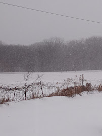 Mahomet Laundry - Photo 8 - Car repair in Mahomet, IL, Champaign