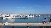 Port Gardian - Le port de la Camargue - Port de plaisance du Restaurant de spécialités provençales L'Amirauté - Bar - Restaurant Saintes-Maries-de-la-Mer - n°1