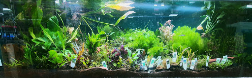 Pet Store «Oak Park Natural Pet & Fish», reviews and photos, 23 N Harlem Ave, Oak Park, IL 60302, USA