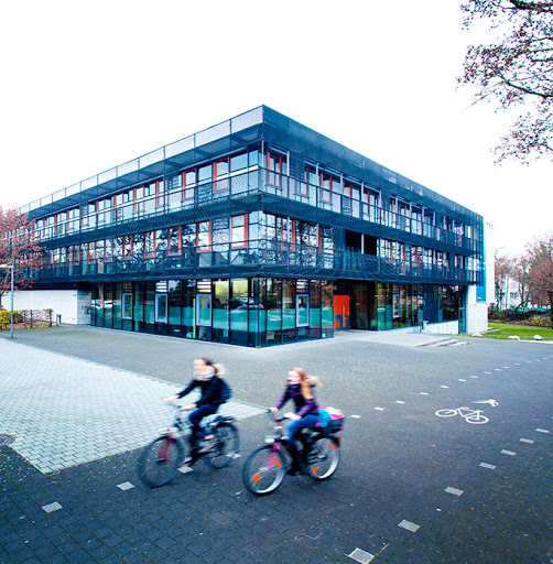 Steinbeis University Berlin