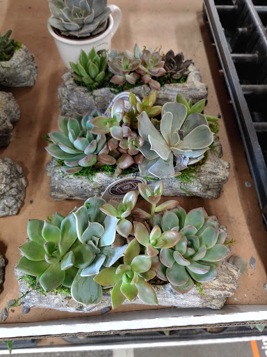 Home Improvement Store «The Home Depot», reviews and photos, 106 Route 23, Riverdale, NJ 07457, USA