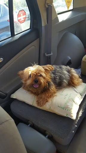 Grocery Store «ACME Markets», reviews and photos, 175 NJ-70, Medford, NJ 08055, USA