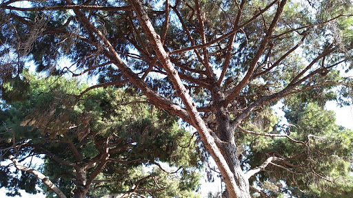 Park «Huntington Park Parks & Rec», reviews and photos, 3401 E Florence Ave, Huntington Park, CA 90255, USA