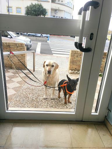 Clínica Veterinaria Pines en Montequinto