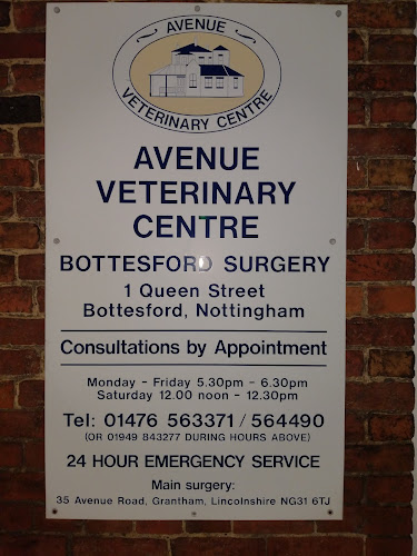 Avenue Veterinary Centre Open Times
