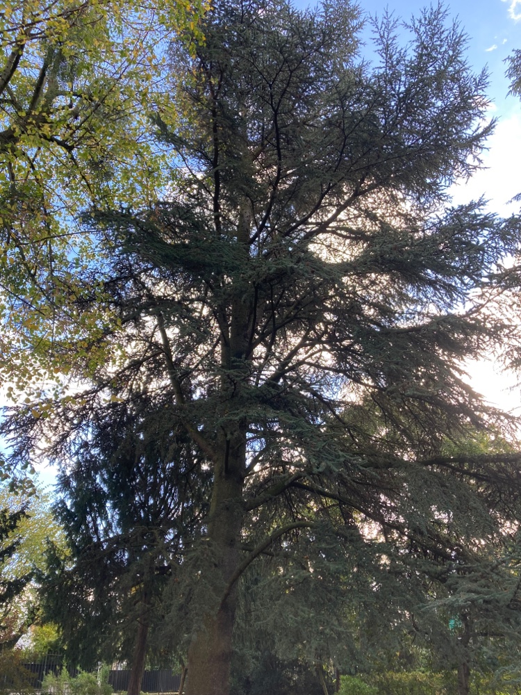 Photo n° 1 de l'avis de Kévin.O fait le 27/11/2021 à 22:31