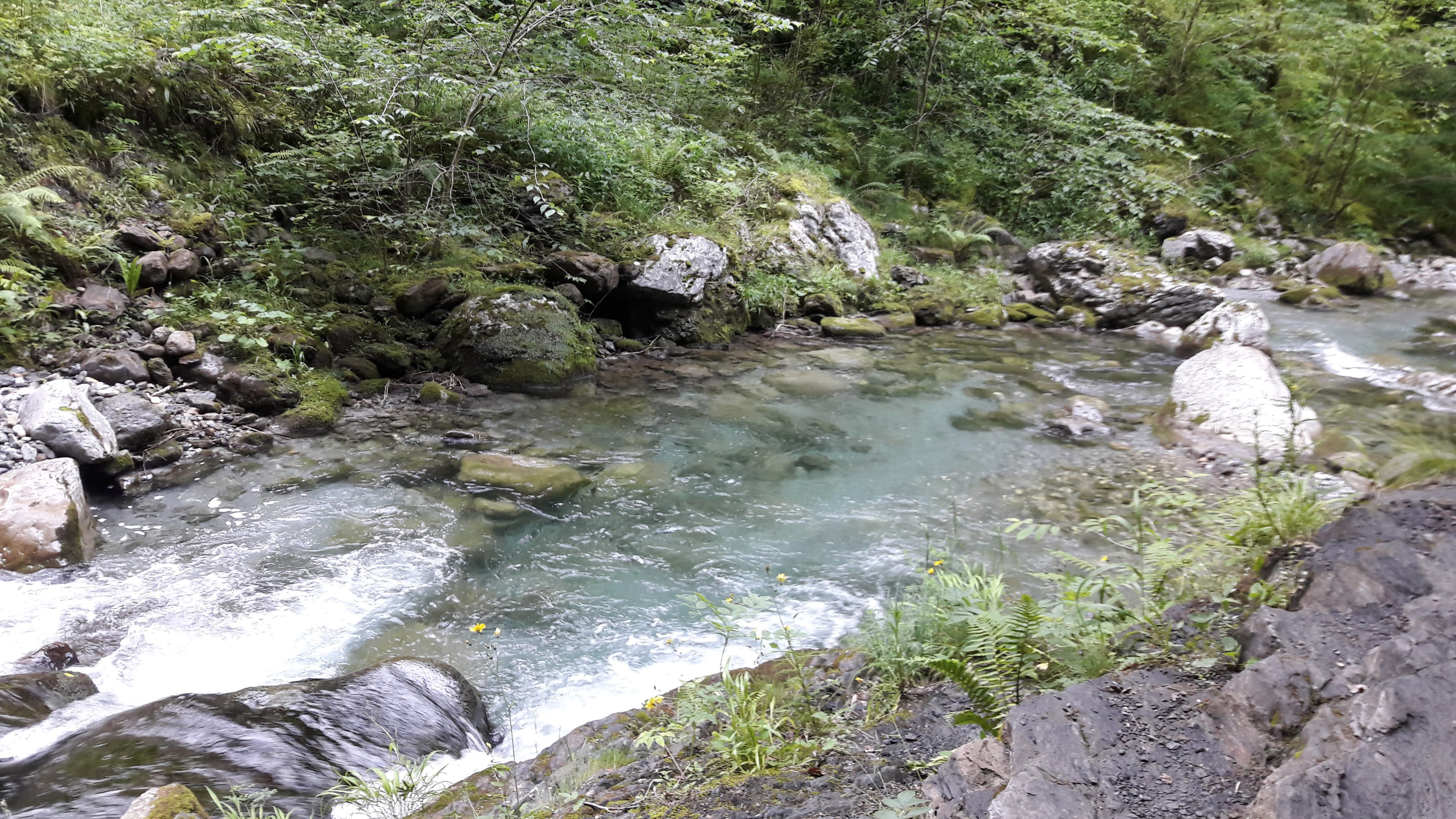 Photo n° 4 de l'avis de Marie.. fait le 09/07/2019 à 08:26