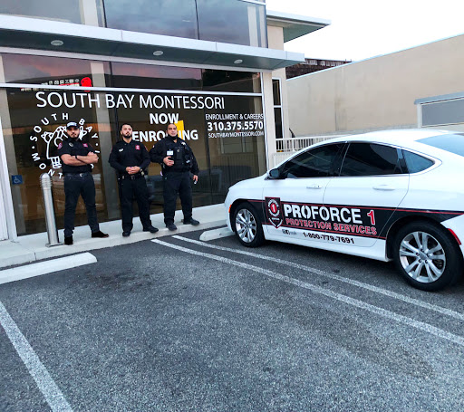 Proforce 1 Protection Services