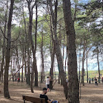 Photo n°24 de l'avis de Caracol. fait le 22/08/2022 à 15:42 sur le  Agriturismo Masseria Chinunno à Altamura