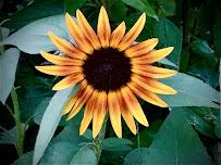 David S Marshall Photography - Photo 3 - Car repair in , Boston