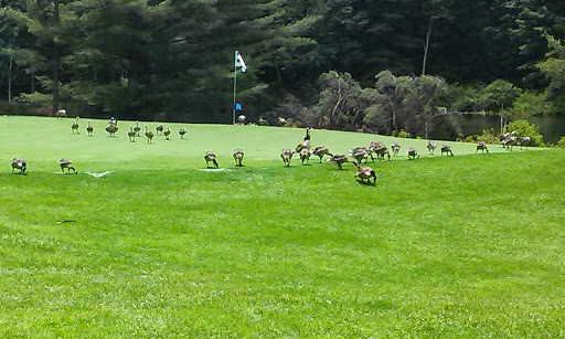 Golf Club «Overlook Golf Club», reviews and photos, 5 Overlook Dr, Hollis, NH 03049, USA