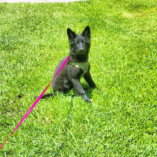 Park «Dr. P. Phillips Community Park», reviews and photos, 8249 Buenavista Woods Blvd, Orlando, FL 32836, USA