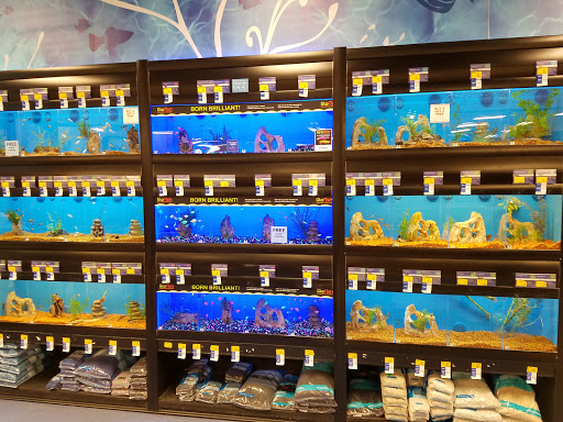 Pet Supply Store «PetSmart», reviews and photos, 2534 South Rd, Poughkeepsie, NY 12601, USA