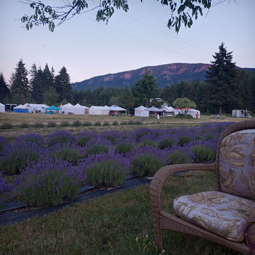 Cowlitz Falls Lavender Company