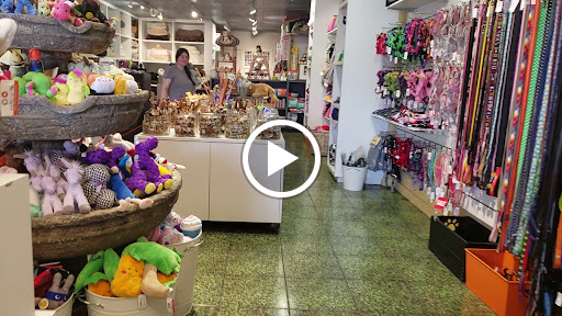 Pet Store «Muttropolis La Jolla», reviews and photos, 7755 Girard Ave, La Jolla, CA 92037, USA